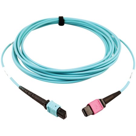 Tripp Lite Mmf Fbr Optic Cable 24F Mtp/Mp, N846D-05M-24DAQ N846D-05M-24DAQ